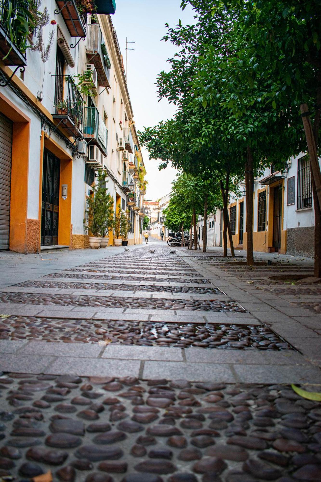 Alojamiento Entero, Centro De Cordoba Con Cochera ภายนอก รูปภาพ